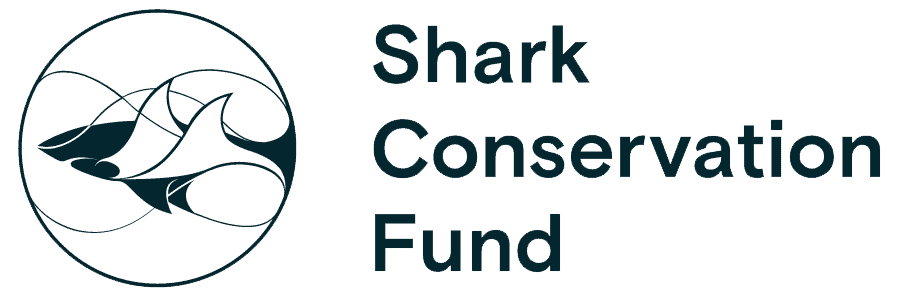 Shark Conservation Fund